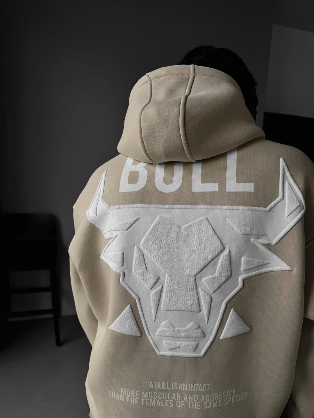 Oversize Bull Hoodie - Blekt Sand