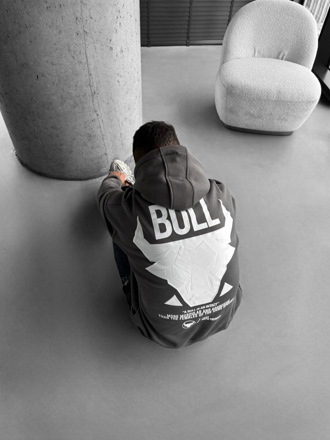 Oversize Bull Hoodie - Antracit