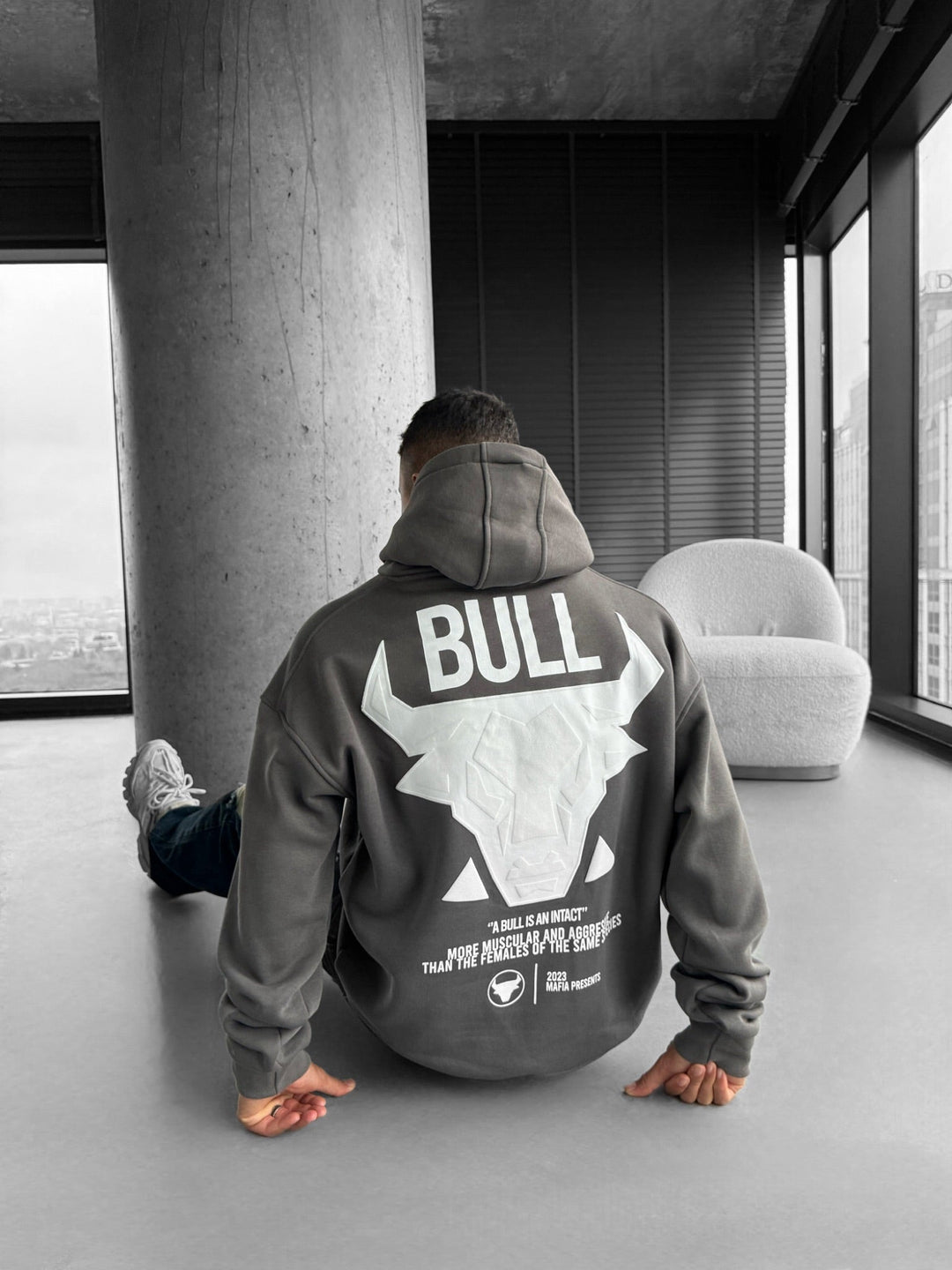Oversize Bull Hoodie - Antracit