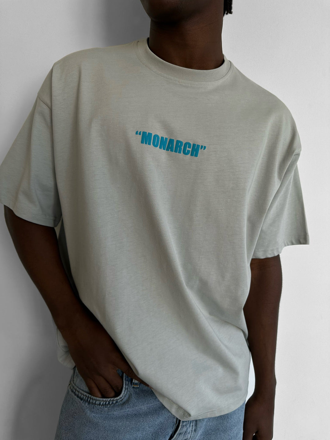 Oversize Monarch T-shirt - Grå och Blå