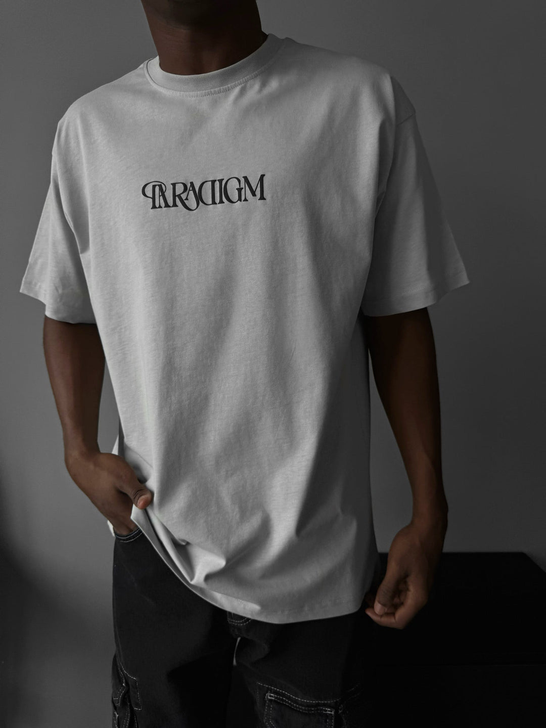 Oversize Paradigm T-Shirt - Grå