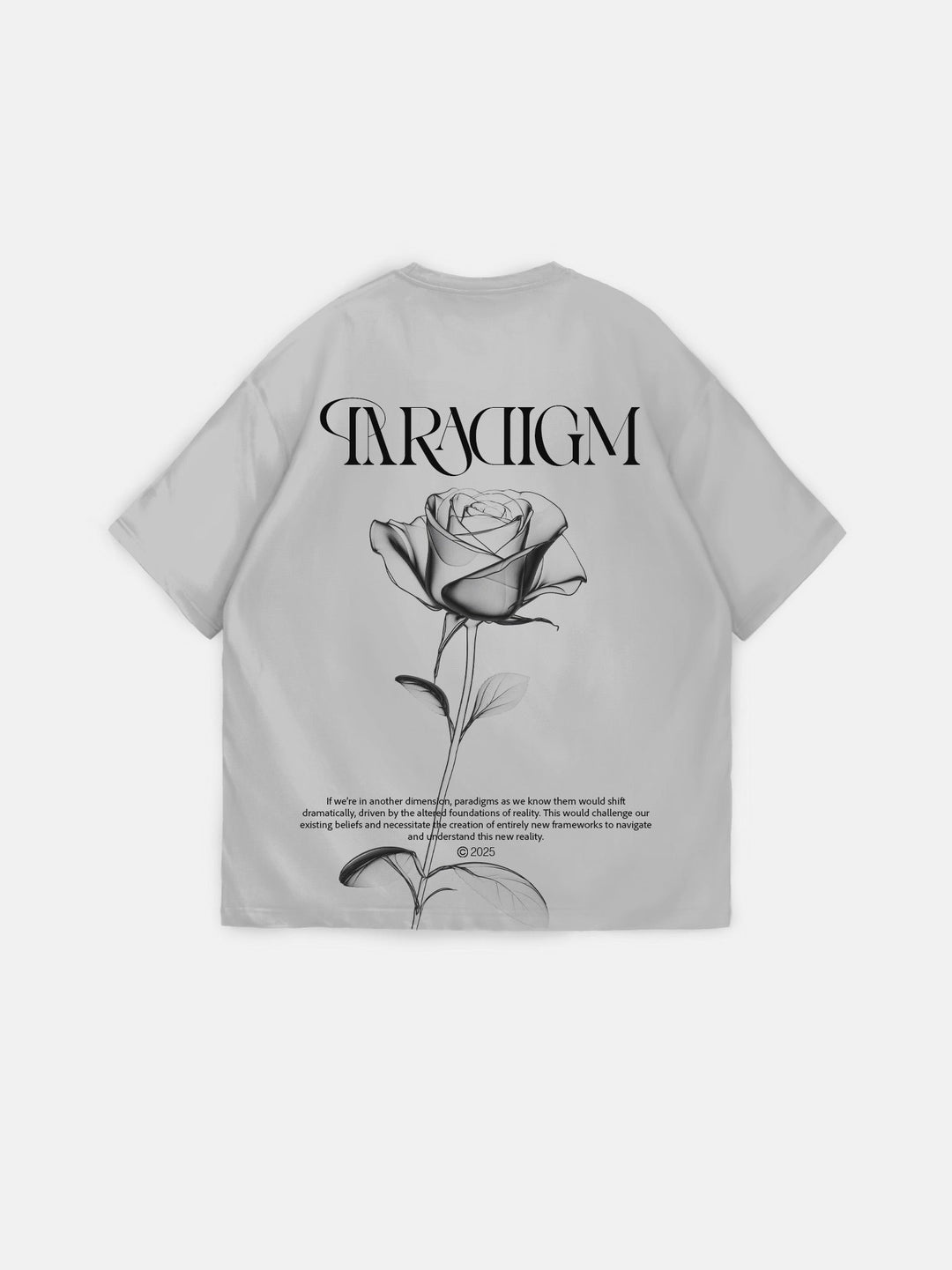 Oversize Paradigm T-Shirt - Grå
