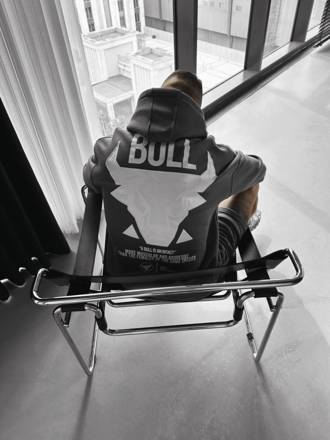 Oversize Bull Hoodie - Antracit
